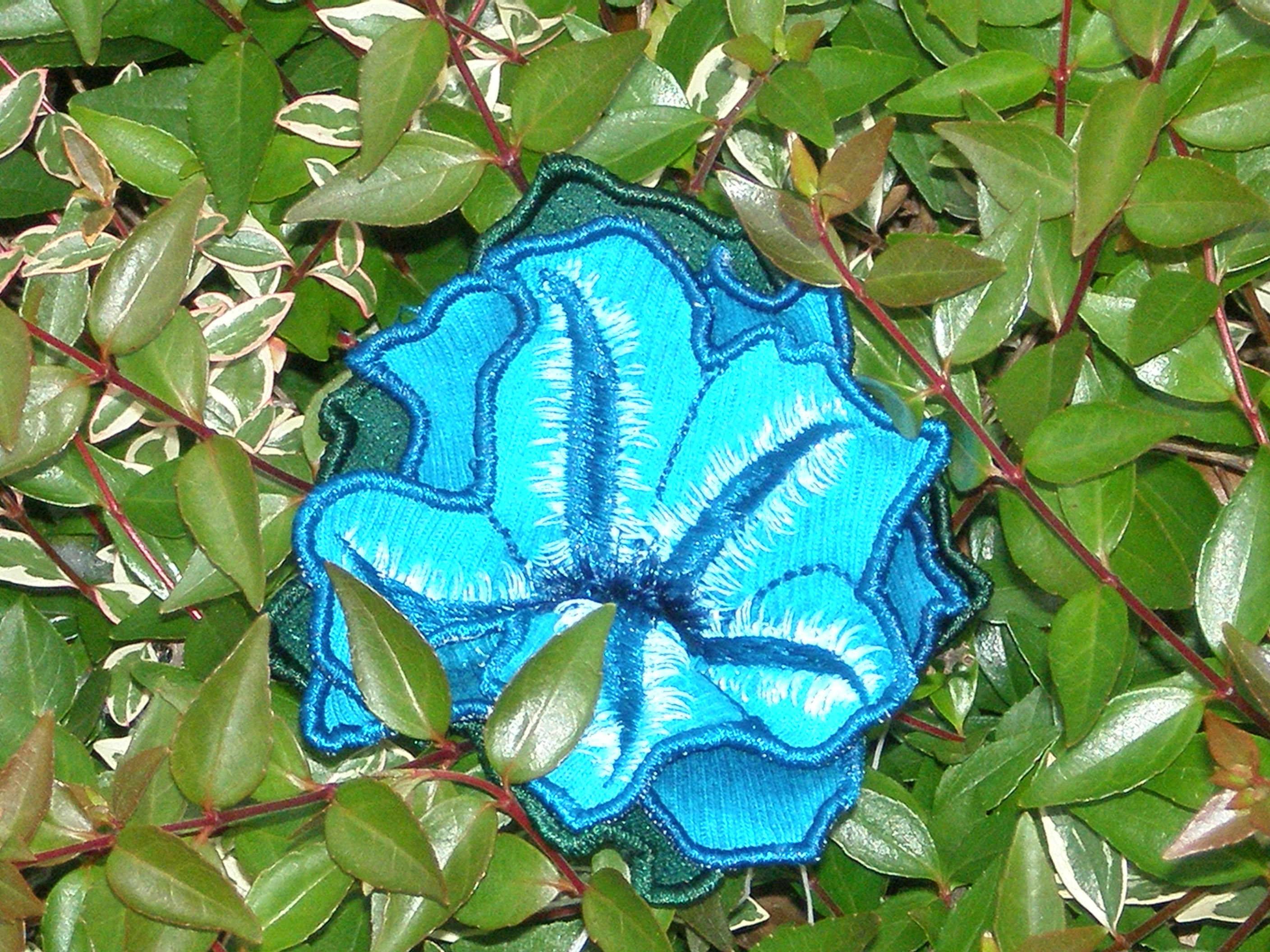 3Dflowerskit/clematis.JPG
