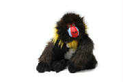 zoobies/BobotheBaboonPlush.jpg
